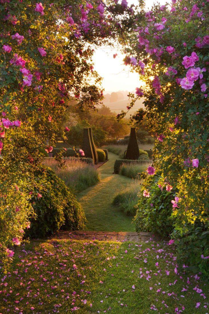 Sunset Serenity Floral Array